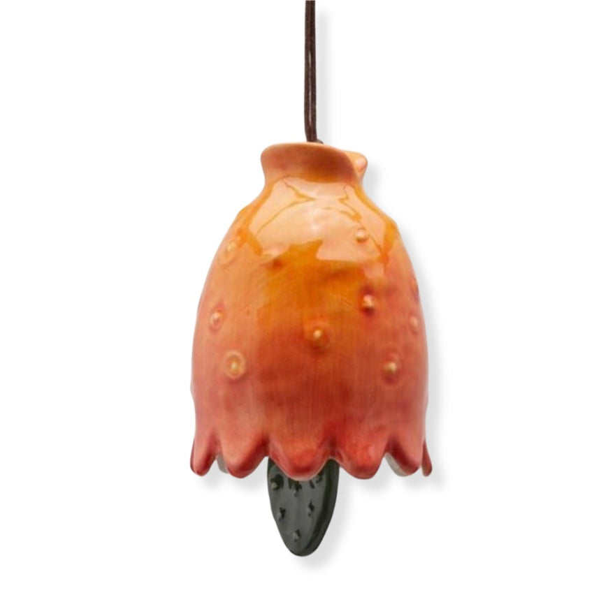 Ficodindia M Rattle (017711,260)