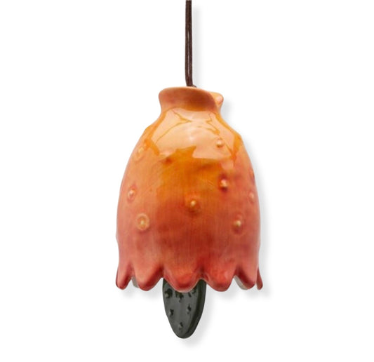 Ficodindia M Rattle (017711,260)