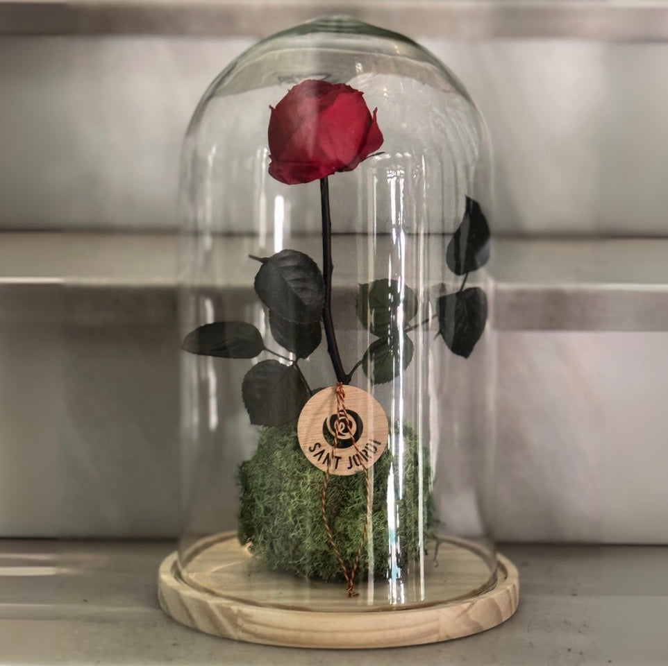 Rosa Eterna - Un Símbol d'Amor Immortal