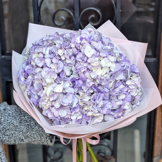 Purple Rain 2.0 – Bouquet of 5 XL Purple Hydrangeas