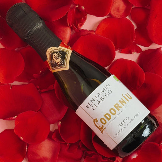 Cava Codorníu Benjamín – The perfect touch for celebrating