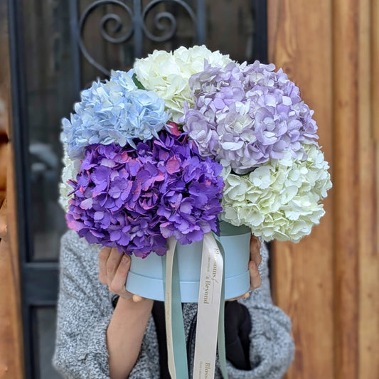 Hydrangeas Box – Bouquet of Hydrangeas in Pastel Tones