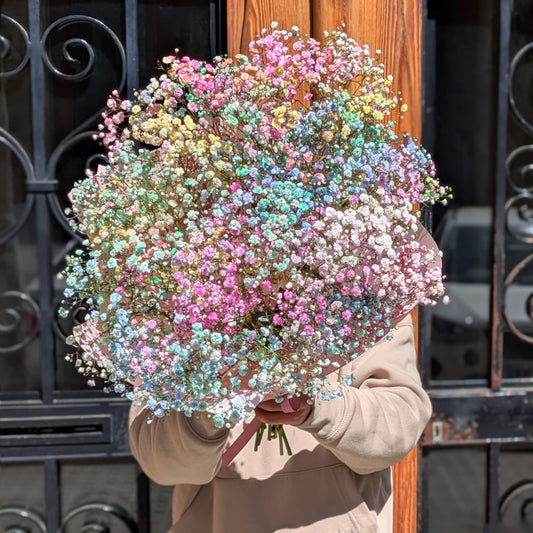 Somewhere Over the Rainbow – Multicolor Paniculata Bouquet