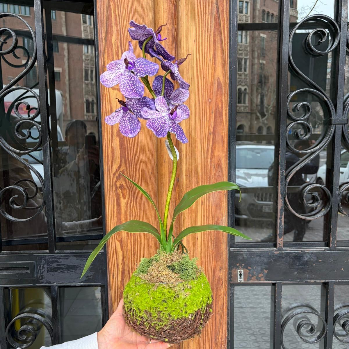 Orquídea Artificial en Kokedama