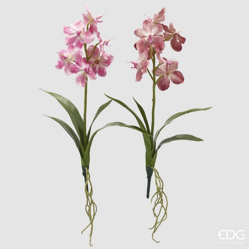 Orquídea Vanda Artificial