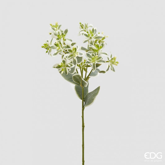 Artificial Euphorbia Branches