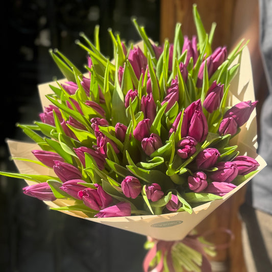 Moonlight Tulips – Bouquet of 51 Purple Tulips