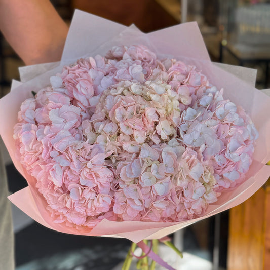 Total Pink – Bouquet of 5 XL Hydrangeas