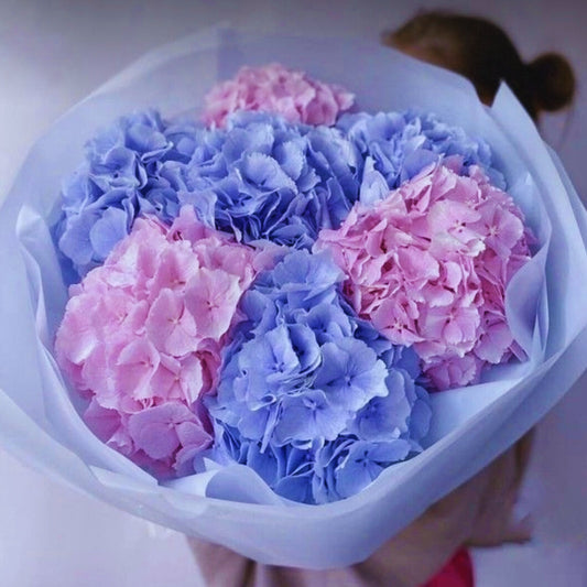 True Colors – Bouquet of 7 XL Hydrangeas