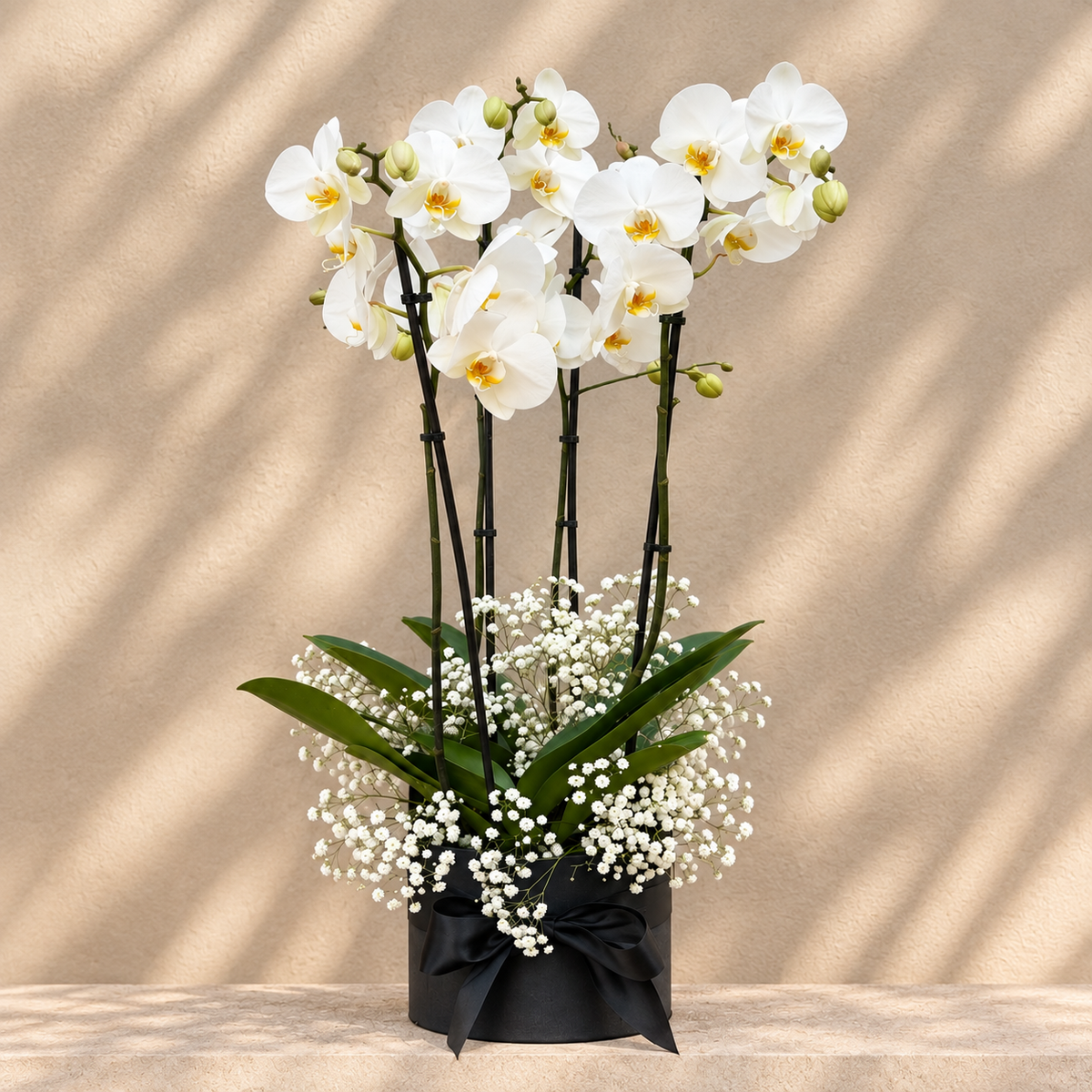 Orquídea