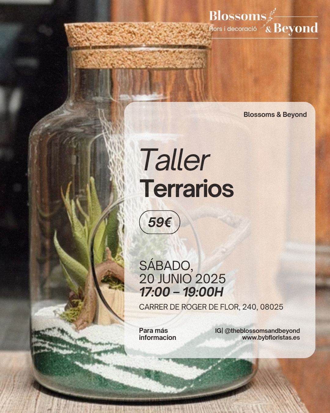 Taller Terrarios