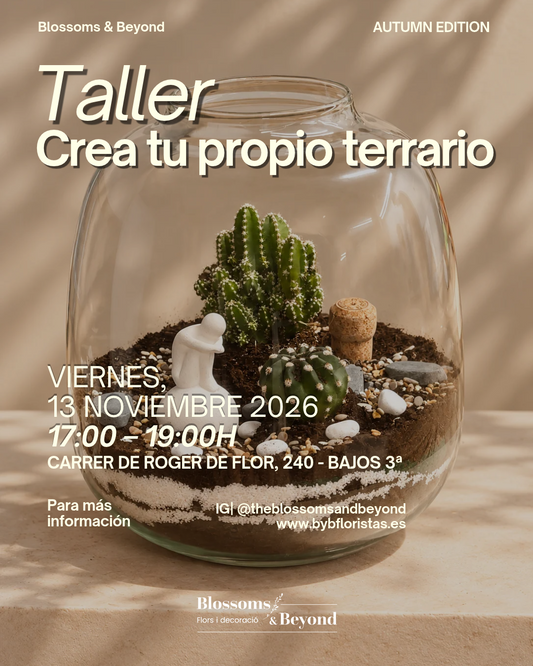 Taller Crea tu Propio Terrario | Autumn Edition 🌵