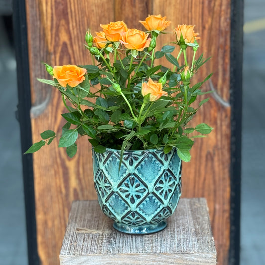 Rosebush with Pot