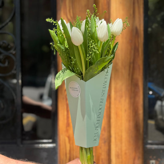 The Tulips Love Edition - Tulipanes para Enamorar
