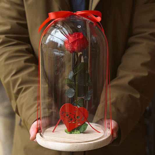 Rosa Eterna - Un Símbol d'Amor Immortal