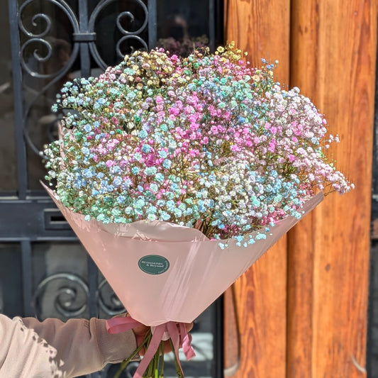 Somewhere Over the Rainbow – Ramo de Paniculata Multicolor