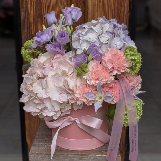 Pastel Symphony
