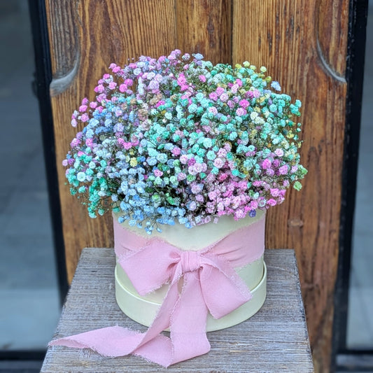 The Rainbow Box